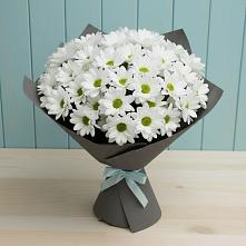 Букет цветов из:  Хризантемы в Первомайском Удмуртская республика