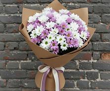 Букет цветов из:  Хризантемы в Первомайском Удмуртская республика