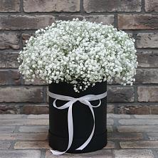 Цветочная композиция из Гипсофила в шляпной коробке в Первомайском Удмуртская республика