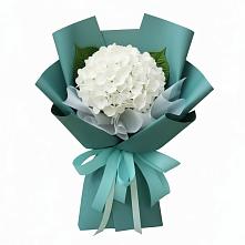 Букет цветов из:  Гортензия #REPLACE_PRED# Первомайском Удмуртская республика